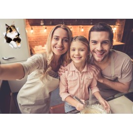 Winston & Bear 3D Cat Stickers - 2 Pack - Calico Stickers for Wall, Fridge, Toilet and More Calico Cat Stickers