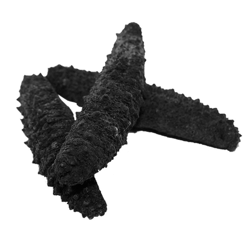 Sea Cucumber Wild Caught,Sun Dried Atlantic Black Pin Supplement All