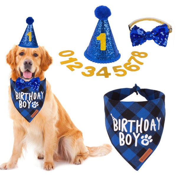 ADOGGYGO ADOGGYGO Dog Birthday Party Supplies, Multi Size Offered, Dog