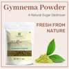 SAMYAM SAMYAM Gymnema Leaves Powder - 1Kg Pack | Gurmar/Gymnema