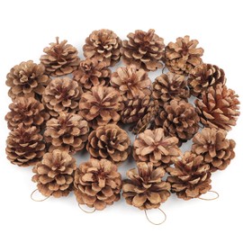 Larber 24PCS Pine Cones for Crafts,5cm Pinecones with Golden Lanyard, Fir Cones for Christmas Tree,Winter Decoration