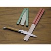 DMT (Diamond Machining Technology) Dia-Fold Diamond Whetstone