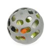 Rosewood Recycled Treat & Play Chicken Ball, Vegetable and Treat