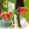 Plant Training Clips 90 Degrees Stem Trainer Clips, 40 Pieces