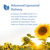 Allergy Research Group - Micro Liposomal C - Non-GMO Vitamin