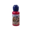 Horse Friends Drinking Aluminum Bottle, 19 cm, Model# 12769