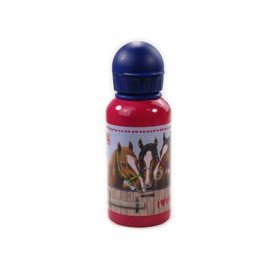 Horse Friends Drinking Aluminum Bottle, 19 cm, Model# 12769