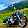 8mm/10mm Rearview Side Mirrors Chrome Skull Teardrop for Harley Dyna