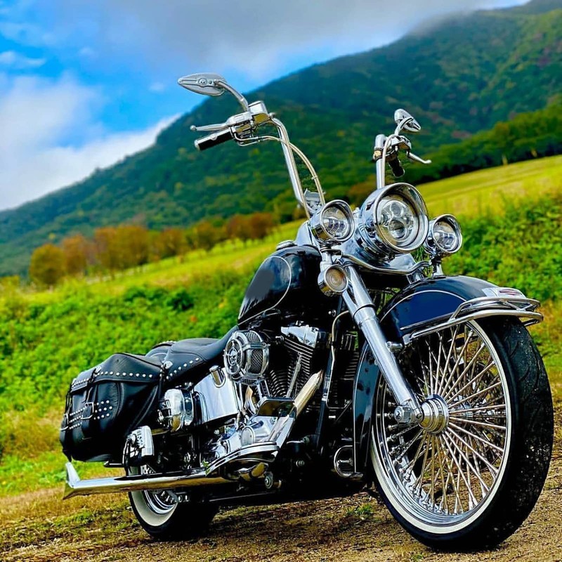 8mm/10mm Rearview Side Mirrors Chrome Skull Teardrop for Harley Dyna