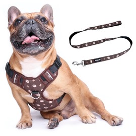 iChoue Dog Vest Harness Leash Set Soft Padded No Pull Adjustable Reflective for Small Medium Dogs - Coffee Bean M