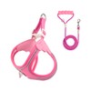LUVMOJO Pink Cat Harness and Leash Set for Small Dogs
