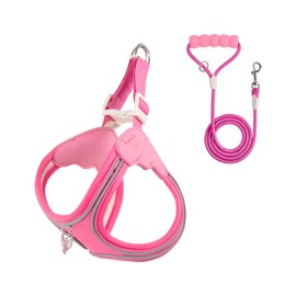LUVMOJO Pink Cat Harness and Leash Set for Small Dogs & Kitties, Cute Easy On Easy Off Step-in Puppy Vest, Escape Proof Breathable Mesh No Choke Kitten Halter for Teacup, S Size Devon Rex, Abyssinian