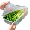 WonLiq Lettuce Keeper, Salad Keeper Container Lettuce Crisper, Keep Vegetables