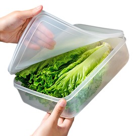 WonLiq Lettuce Keeper, Salad Keeper Container Lettuce Crisper, Keep Vegetables and Fruits Crispy and Fresh for Salad Berry Lettuce Food Meat Fish Celery