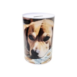 Money Box Metal Cannot Open with Dog Picture Golden Retriever 13 x 8 cm