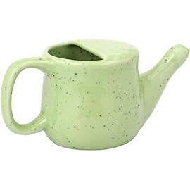 Anicent Impex Ceramic Neti Pot, Spill Proof with 5 Sachets Neti Salt - Green Frackle Color, Holds 400 ML (13.5 FL Oz)