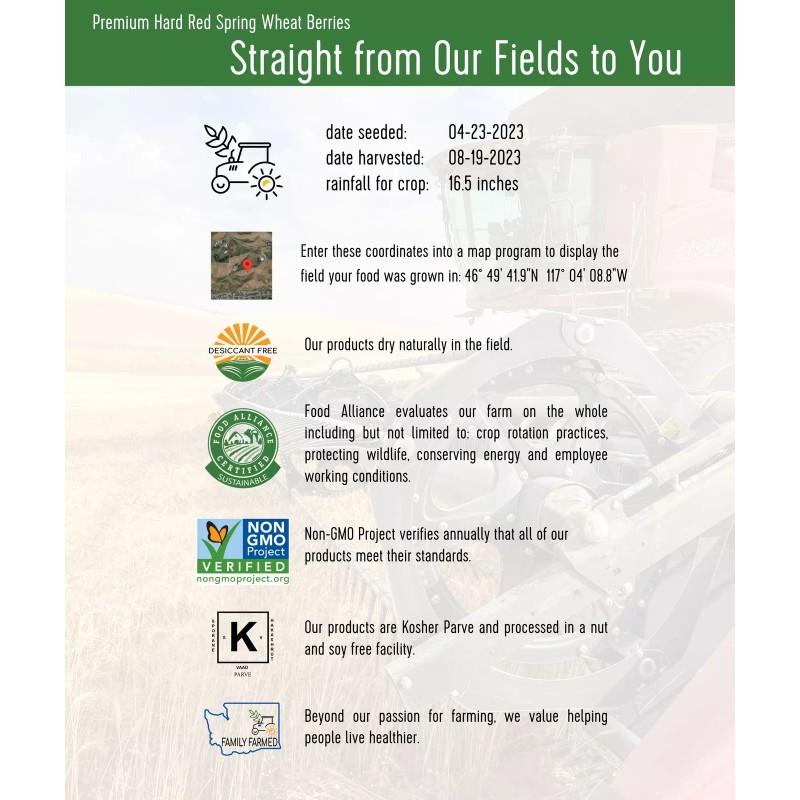 Palouse Brand Red Spring Wheat Berries 5 lbs Bag