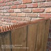 10Pcs Bird Repellent Spikes Plastic Defend Cat Repellent Accessory for