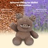 SuzziPals Wild Boar Plush, Pig Stuffed Animal Heating Pad for