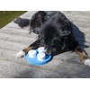 Sniffing Set for Dogs with Three Cans and Clicker, Sense