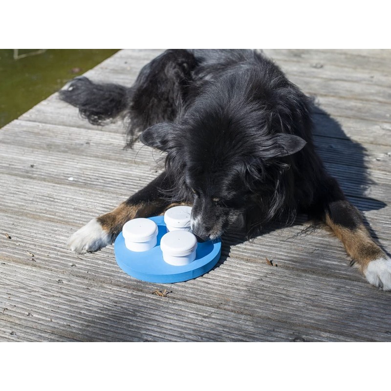 Sniffing Set for Dogs with Three Cans and Clicker, Sense