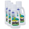 Natural Chemistry Filter Perfect Pool Filter Cleaner - 4 x