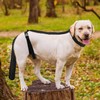 Onperpoe Dog Tail Protector Guard Adjustable Length for Medium and