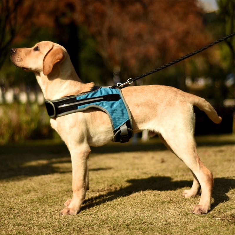 Dog Harness with LED Light Adjustable Comfortable Relieve Neck Pressure