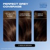 Clairol Lasting Colour Permanent Hair Dye | Ideal Grey Coverage