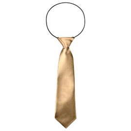 BomGuard Children's Tie with Silk Effect Shiny for Boys 2-5 Years with Elastic Band - 28 cm Long, champagne light golden, Unit size