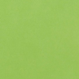 American Crafts Textured Cardstock 12"X12"-Cricket