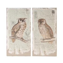 A&B Home Owl Wall Decor Framed Art, 39.5 X 19.7-Inch
