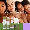 Rutina Facial Control Grasa Y Acne Centella Asiatica Mc Life