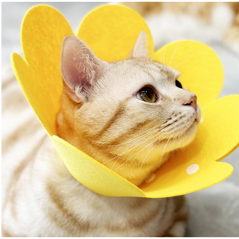 Amexo 3 Pieces Cat Protective Collar Soft Collar Cat Collar
