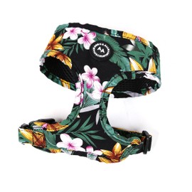 Angie and Allie Organic Cotton Dog Harness,No Pull Pet Harness with Leash D-Ring,Adjustable Soft Padded Dog Vest,Comfortable,Sustainable,Breathable and Stylish for Your Canine Companion