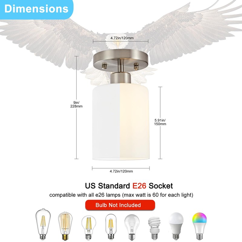Brushed Nickel Hallway Light Fixtures Ceiling 1-Light Semi Flush Mount