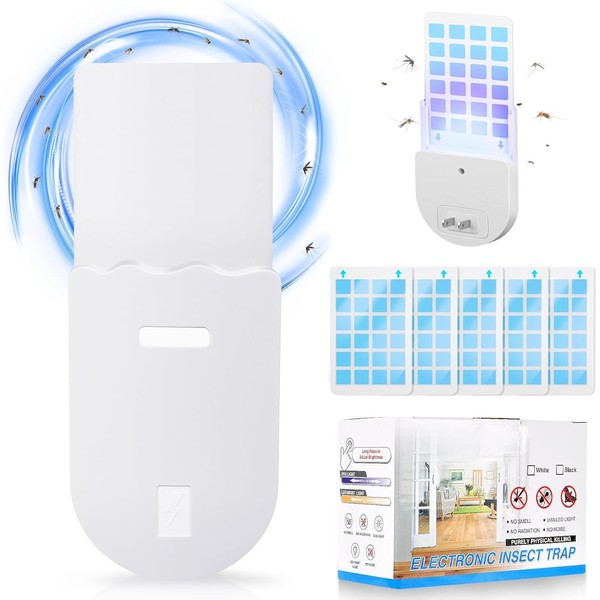 Fruit 𝐅𝐥𝐲 𝐓𝐫𝐚𝐩𝐬 for Indoors, 𝐅𝐥𝐲 𝐓𝐫𝐚𝐩 Indoor, 2 in