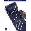 Hisdern A3-02 Washable Necktie and Pocket Square Clip Set, 3-Piece,
