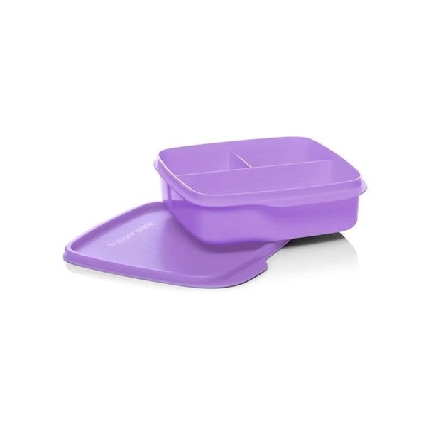 Tupperware to Go Lunch Box Clever Break 590 ml with