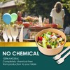 Planet Pantry Disposable Birchwood Cutlery Spork 50 pcs) Plastic Alternative