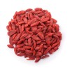 Goji 10 Goji Berry Fresh Cutting 6” Each Stick Ready