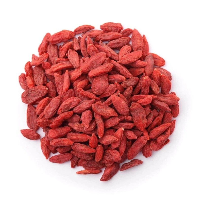 Goji 10 Goji Berry Fresh Cutting 6” Each Stick Ready