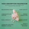 Amandean Magnesium Threonate Complex Glycinate Malate Supplement Veggie Capsules High