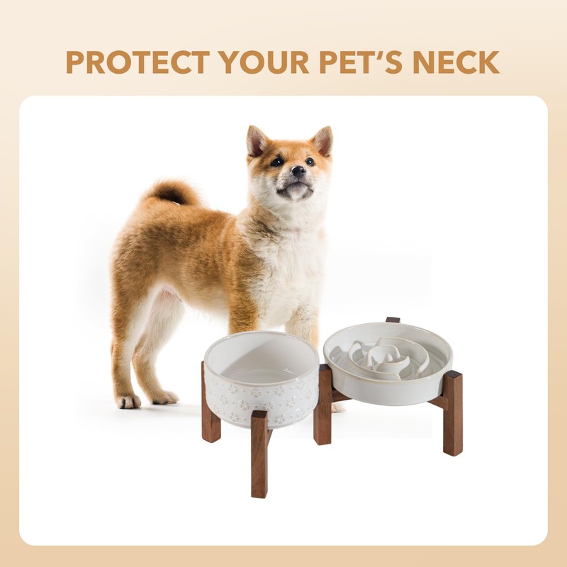 Havniva Ceramic 1.2 Cup Raised Slow Feeder Dog Bowl Set,