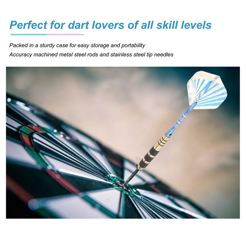 6Pcs Darts Professional Exquisite Stainless Steel Tip Darts Set with