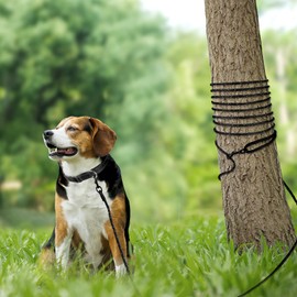 Joytale Long Dog Training Leash, 15 FT Tie Out Rope Check Cord Dogs Leashes with Padded Handle, Reflective Recall Lead for Puppy and Small Dogs, Black