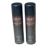2 Pack Everpro Gray Away Professional Temporary Root Concealer Dark