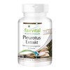 Fairvital Pleurotus Extract 500 mg - High Dose - Pleurotus