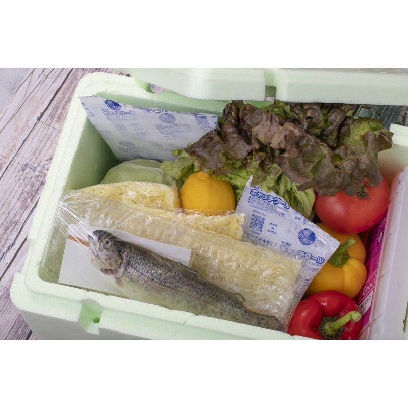 Tri Company Catch Cool CH-400 PSJBOX Ice Pack Gel Cold