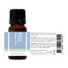 ECO. Modern Essentials Happy Head Essential Oil Blend, 10ml